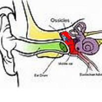 middle ear pain and otitis media